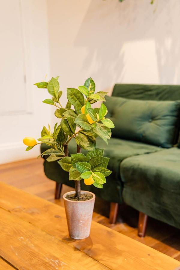 Apartament 2Cq*Morden Studio Flat *Moments Away From Brighton Seafront Zewnętrze zdjęcie